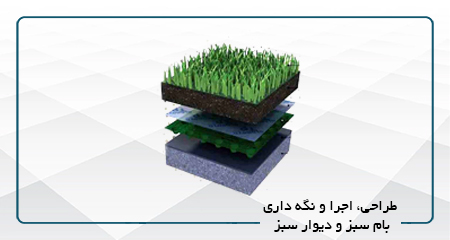 
                                                                            طراحی، اجرا و نگه داری بام سبز و دیوار سبز